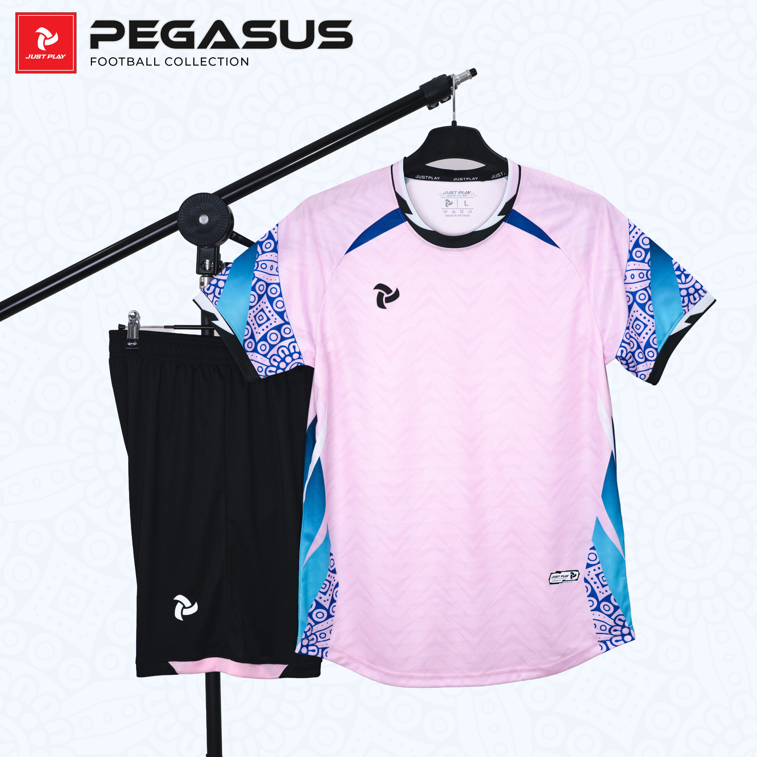 pegasus ảnh flat